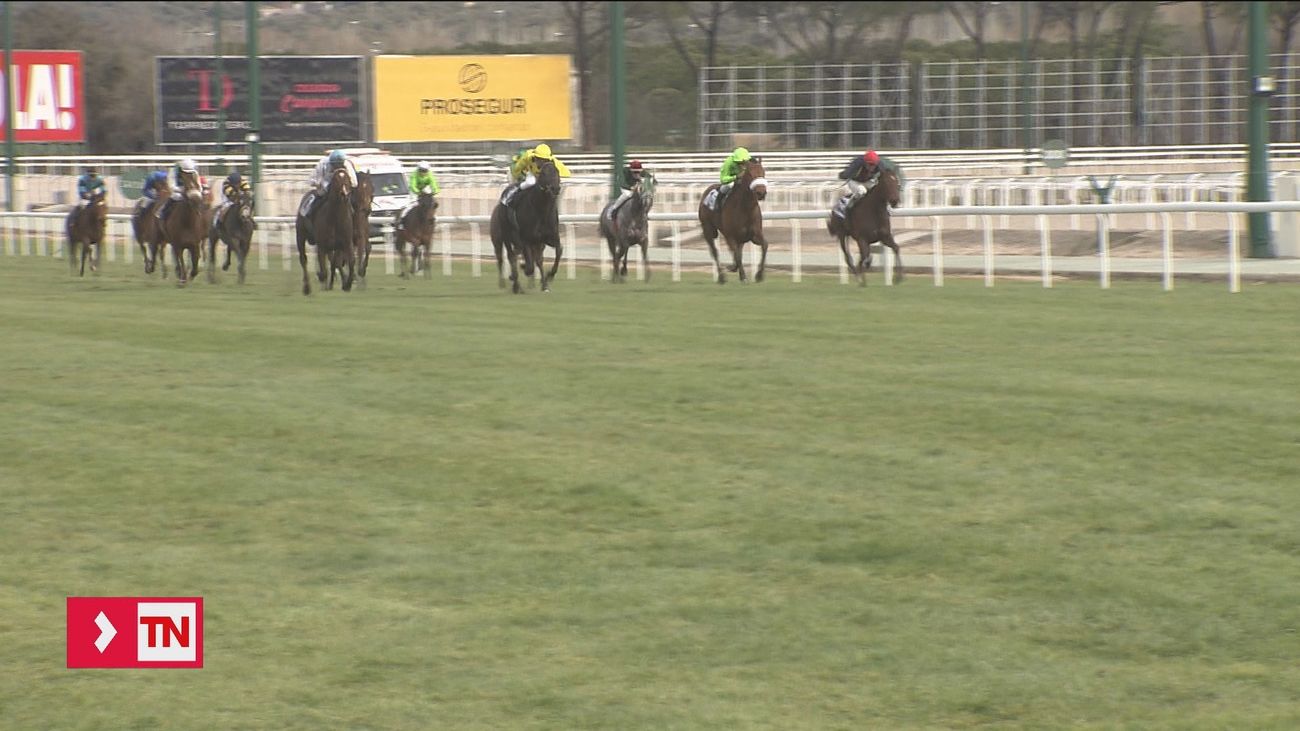 Las carreras de caballos vuelven a La Zarzuela