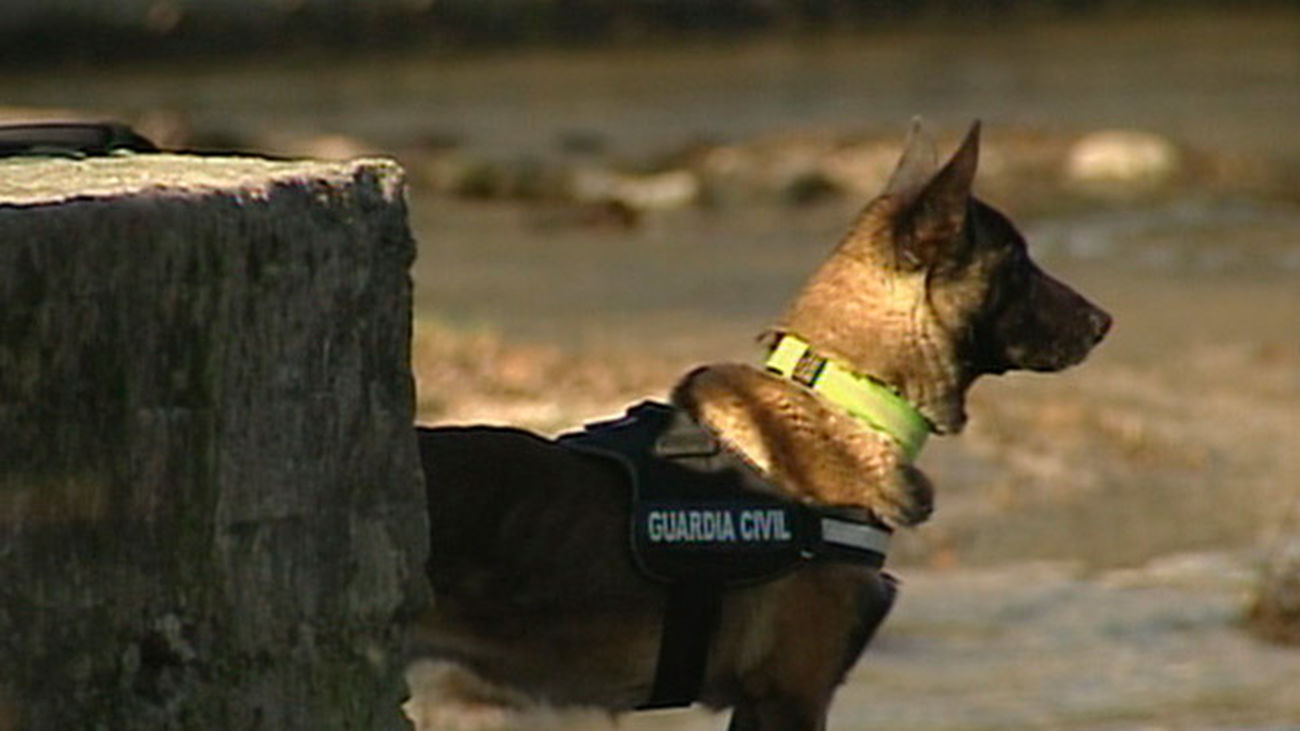 Madrid se vuelca en la búsqueda del pequeño Gabriel en Nijar