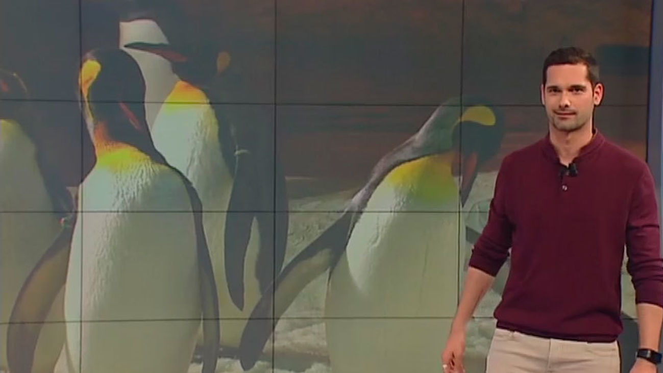 Mundo Madrid 06.03.2018