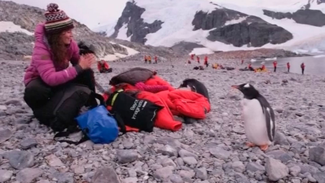 Científicas españolas han investigado en la Antártida el cambio climático