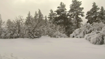 Una primavera teñida de blanco