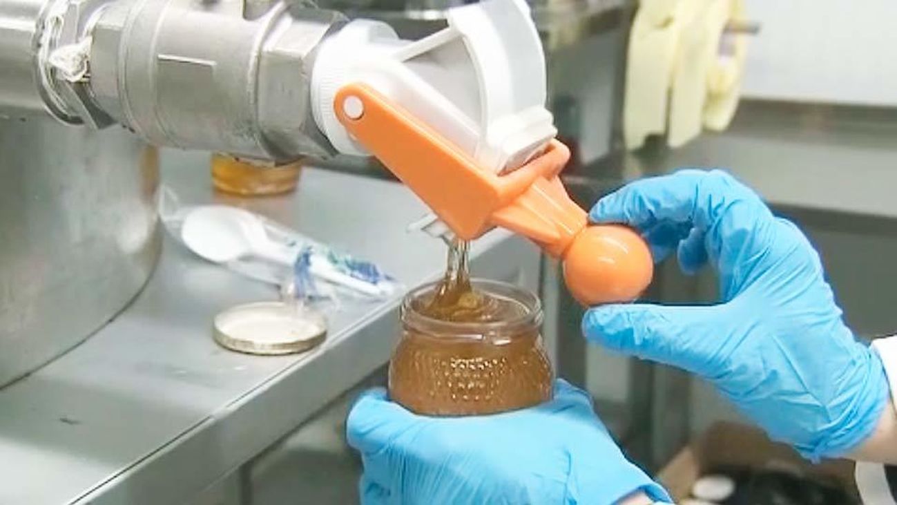 El sureste crea un grupo para introducir miel y aromáticas en los olivares