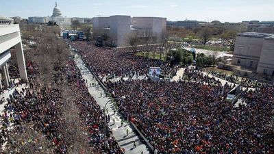 Cerca de un millón de estadounidenses por el control de las armas
