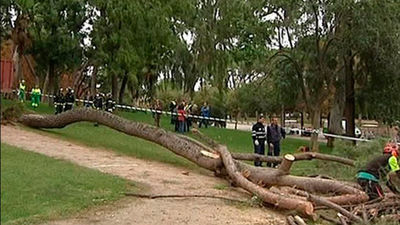 El Ayuntamiento de Madrid mantendrá cerrado el Retiro toda la Semana Santa