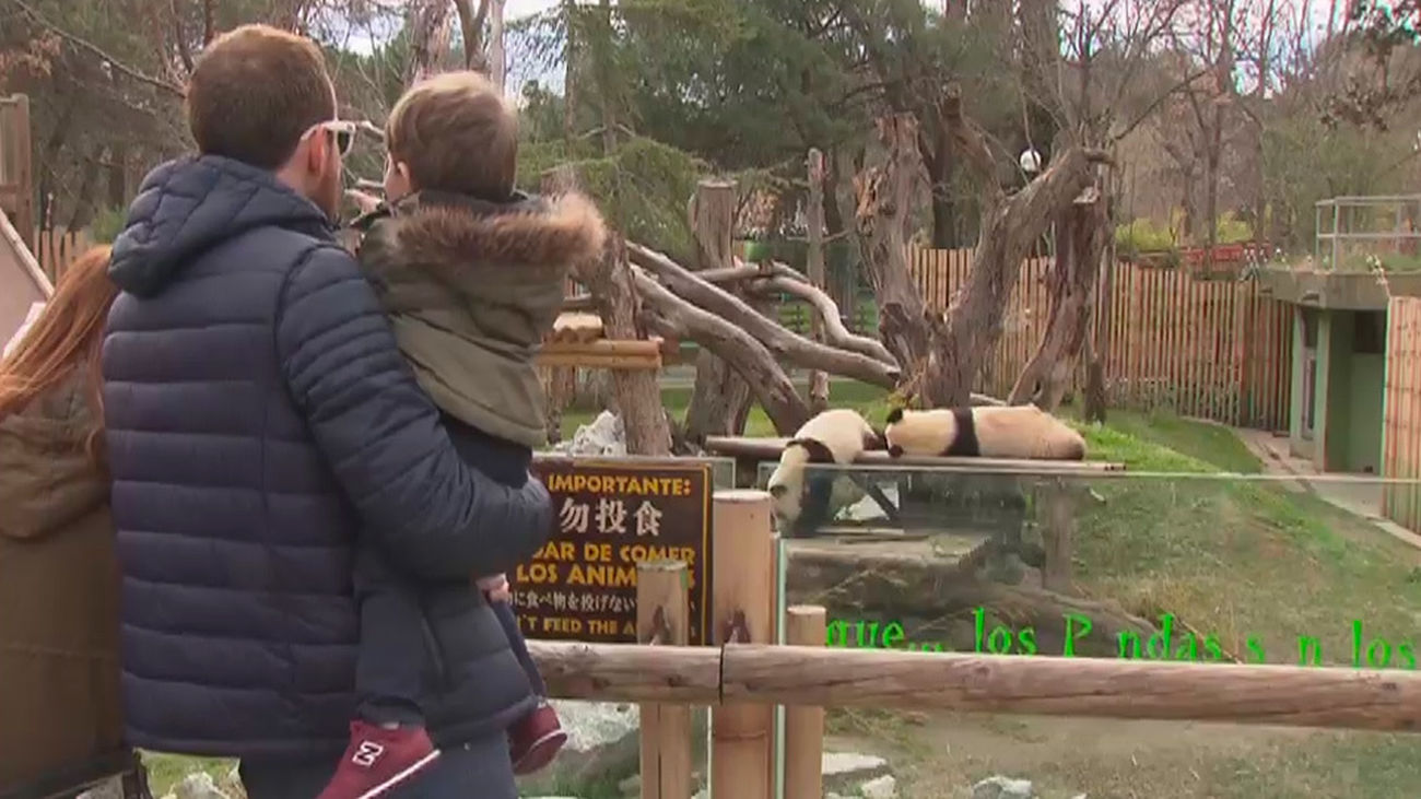 El Zoo y el Parque de atracciones, hasta arriba