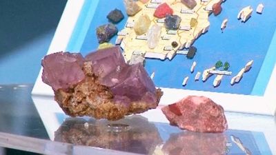 Exponatura edición primavera 2018