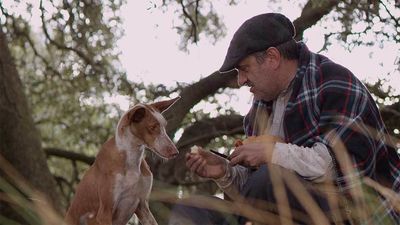 laOtra en corto: 'Cocote, historia de una perro', de Pacheco Iborra