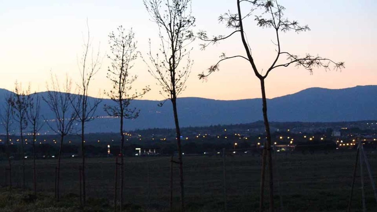 La dehesa de Collado Villalba es uno de los pulmones de la Sierra.