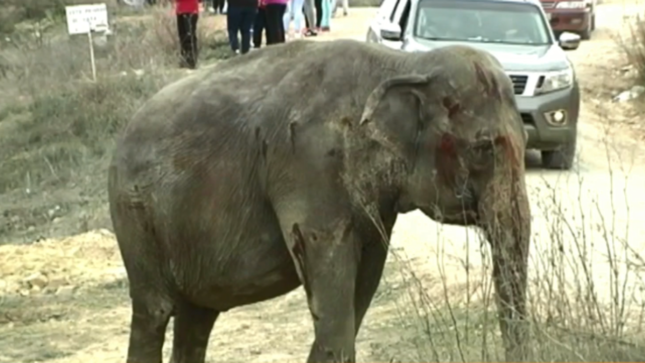 ¿Accidente o sabotaje?