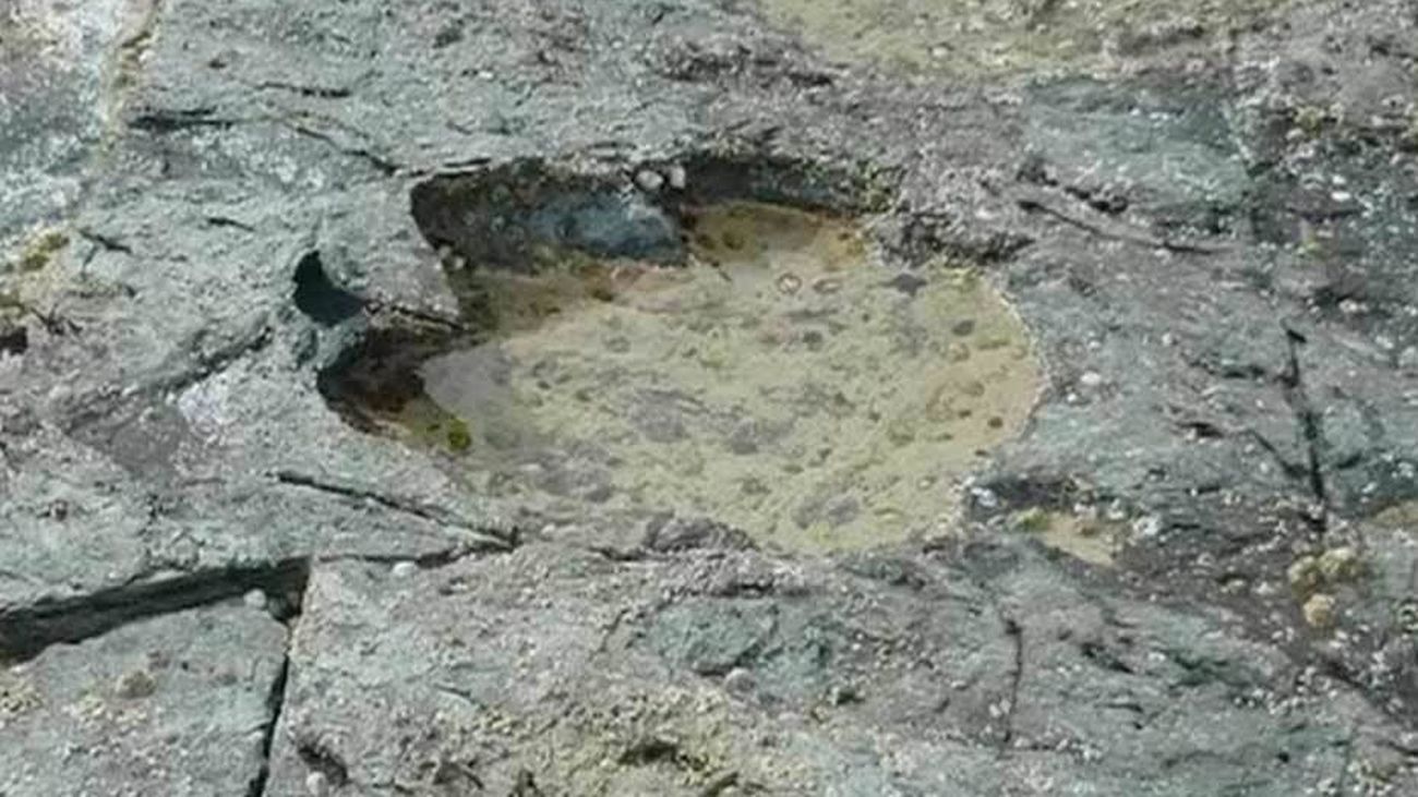 Descubren decenas de huellas de dinosaurio en Escocia