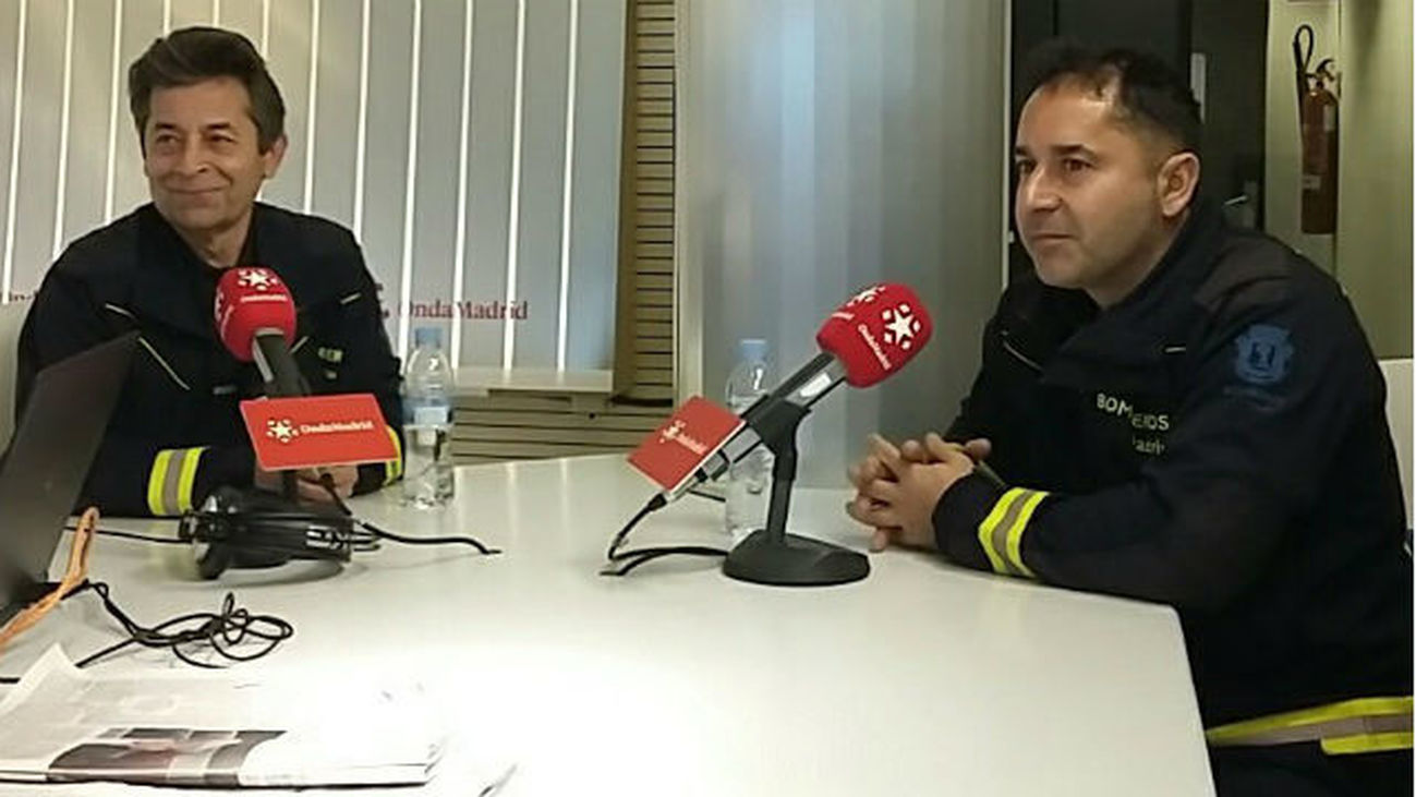 Recogida de enjambres de abejas