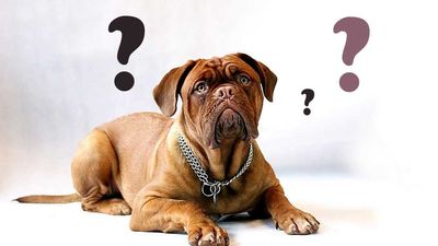 Orientación laboral: ¿Cómo fomentar la motivación para buscar empleo en 'ninis'?