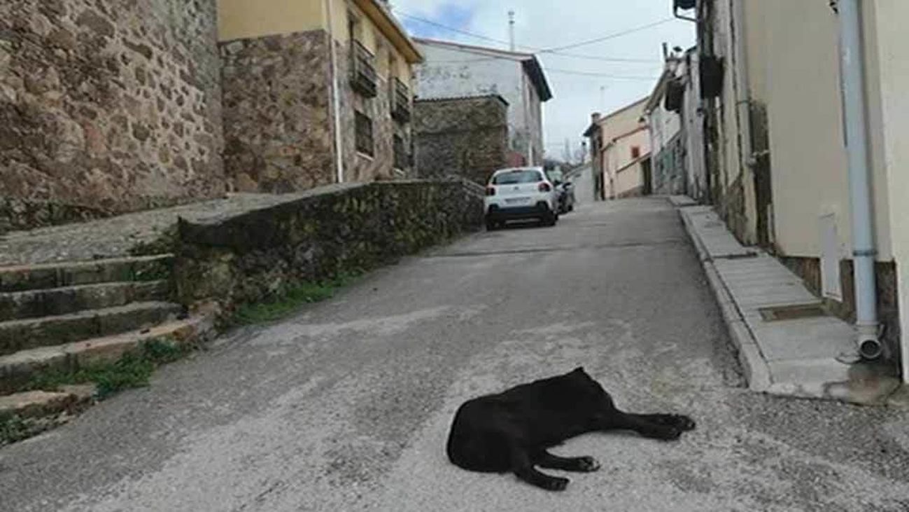 Los pueblos pequeños se resisten al abandono