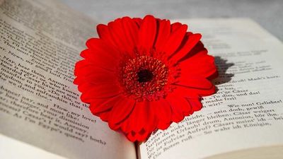 #Dialgobonitoaunaescritora