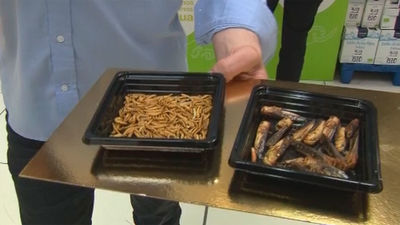 Llegan a los supermercados de España alimentos elaborados a base de insectos