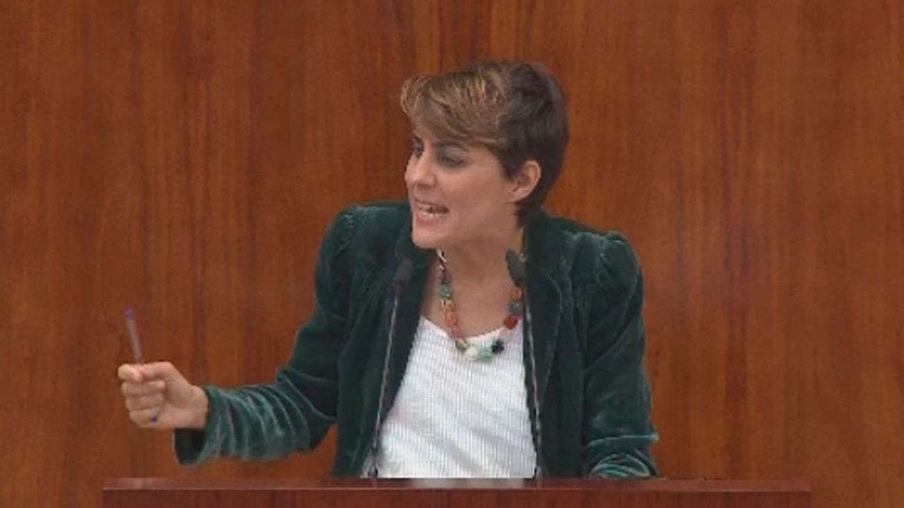 Anticapitalistas decidirá hoy si compite con Errejón en unas primarias para Madrid