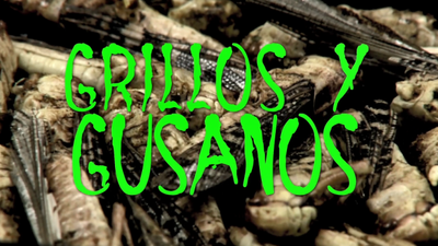 En boca de todos 19.04.2018