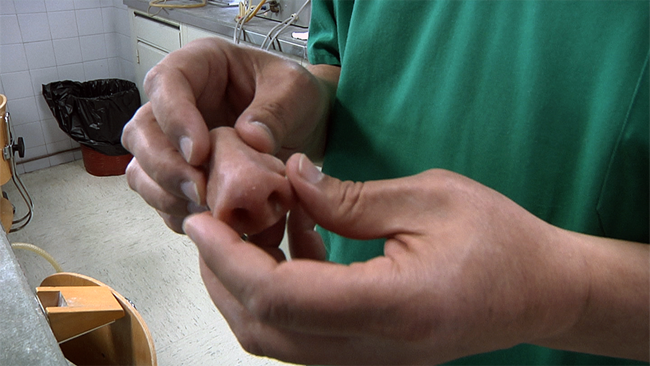 Un taller de narices