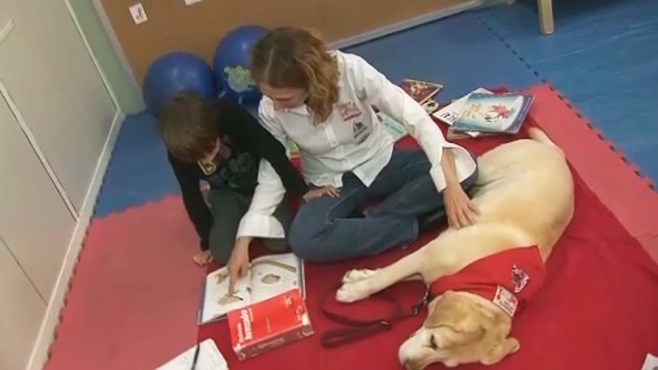 “Perros y letras” una iniciativa destinada a los niños con problemas de lectura