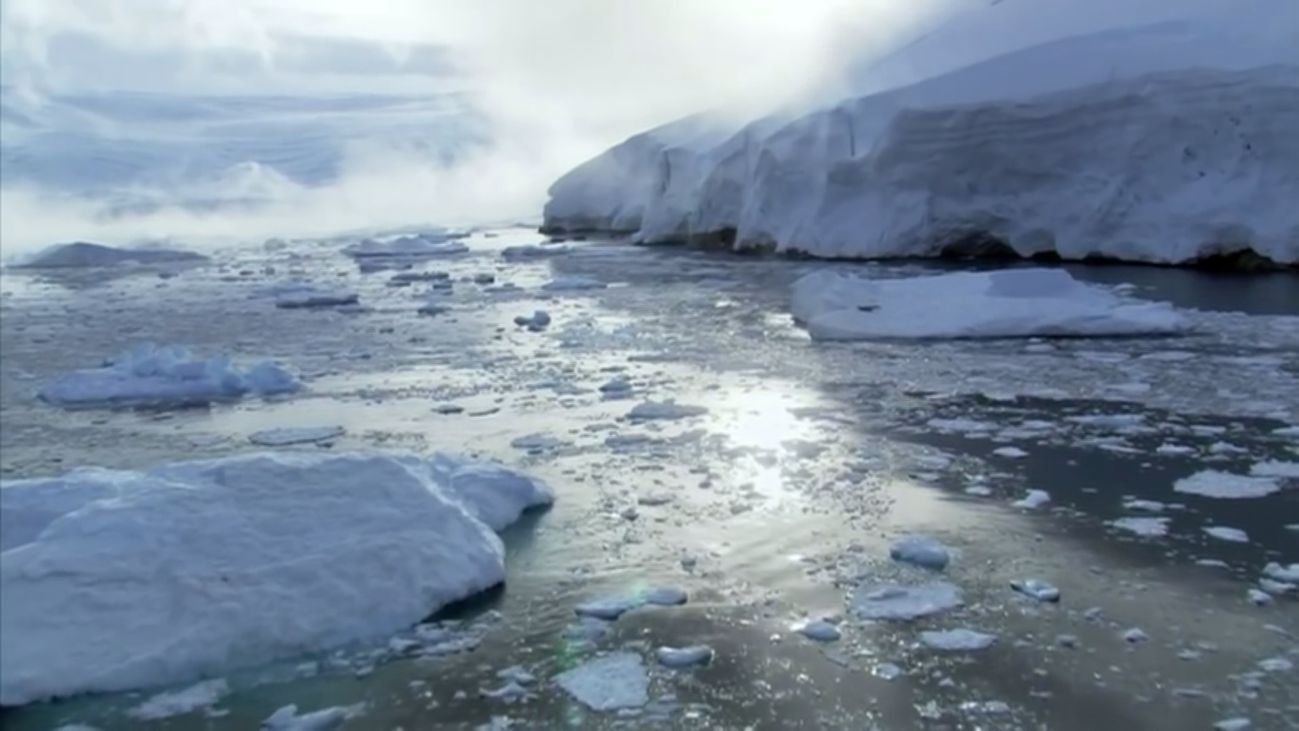 Celebramos el Día de la Tierra