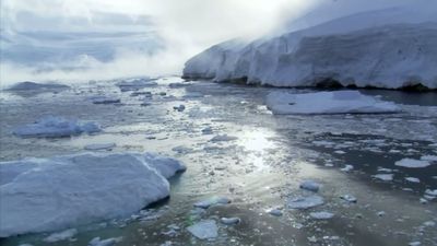 Celebramos el Día de la Tierra