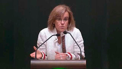 El Pleno municipal madrileño pide "buscar alianzas" en la Asamblea tras el caso Cifuentes