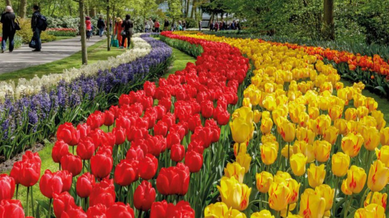 Floración en todo el mundo