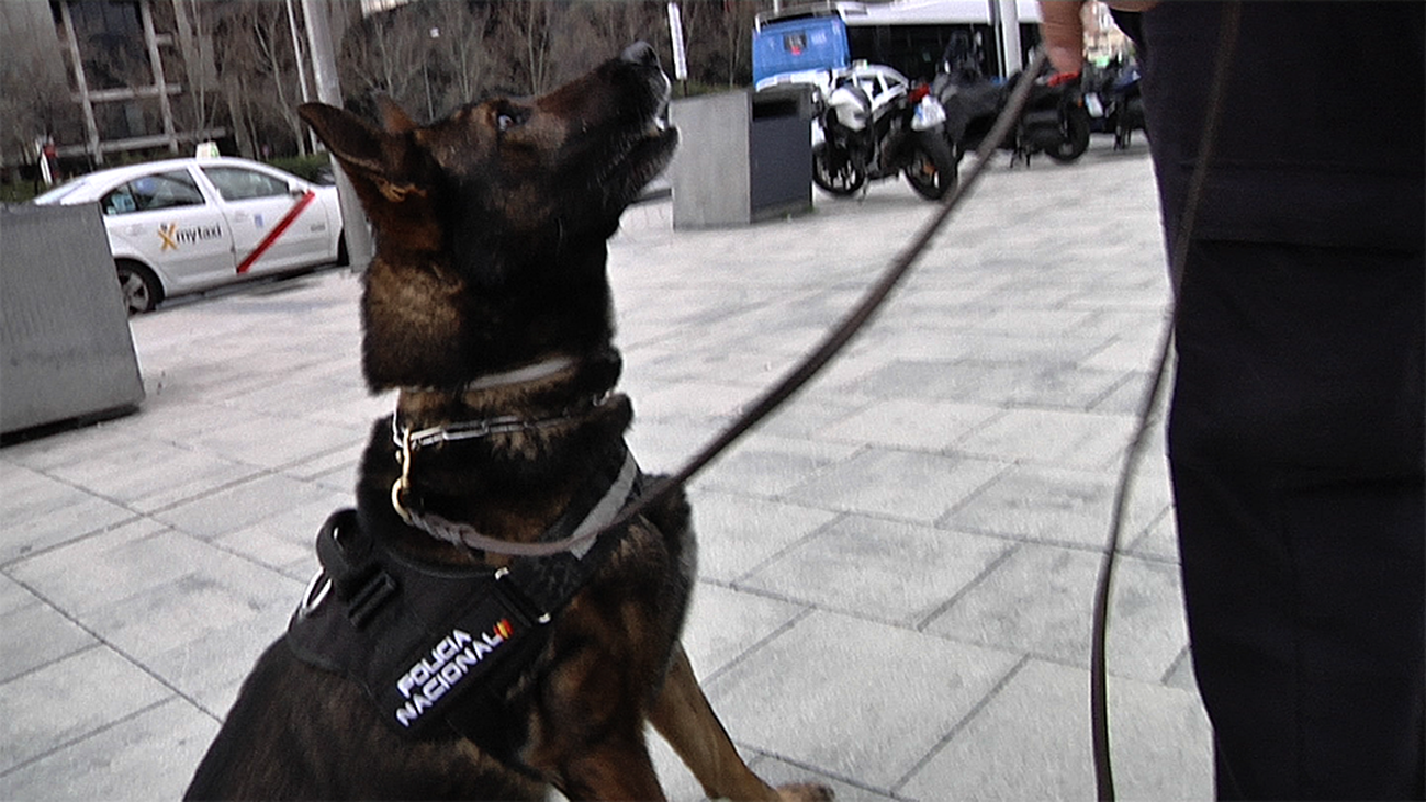 La Unidad Canina de la Policía Nacional