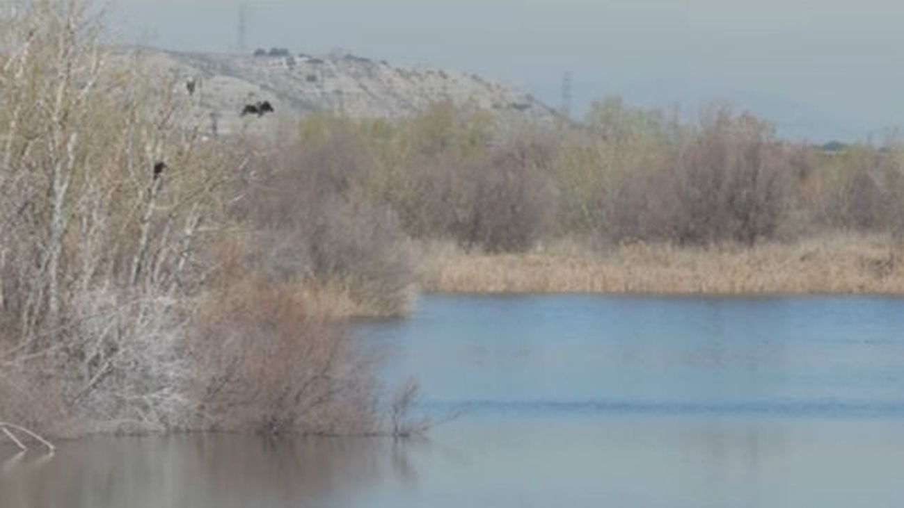 Una ruta por Velilla de San Antonio