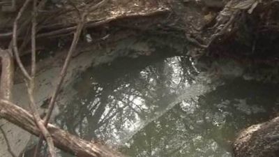 Denuncian un vertido de aguas fecales en un riachuelo en Las Rozas