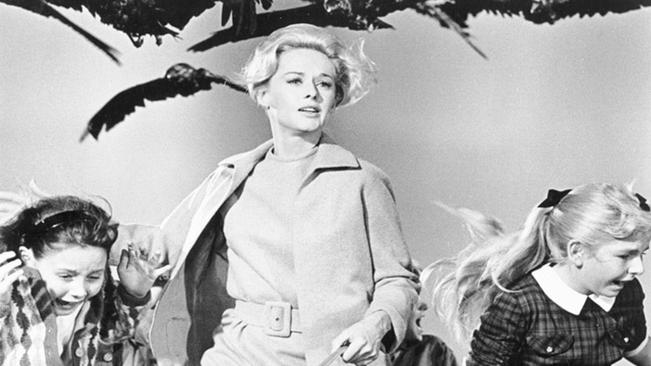 Los pájaros, un clásico del terror by Hitchcock