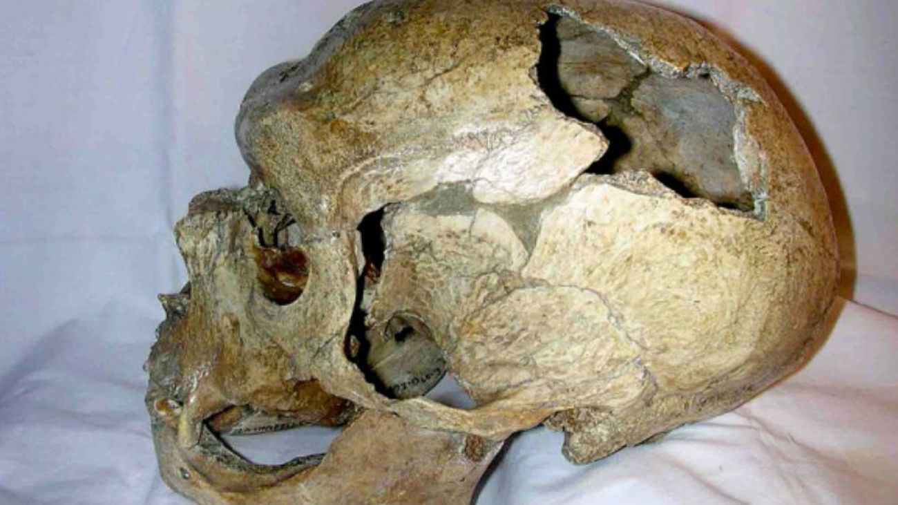 Una piedra grabada en el Paleolítico prueba la cognición de los neandertales