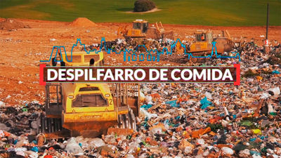 Madrid es cifra: despilfarro de comida