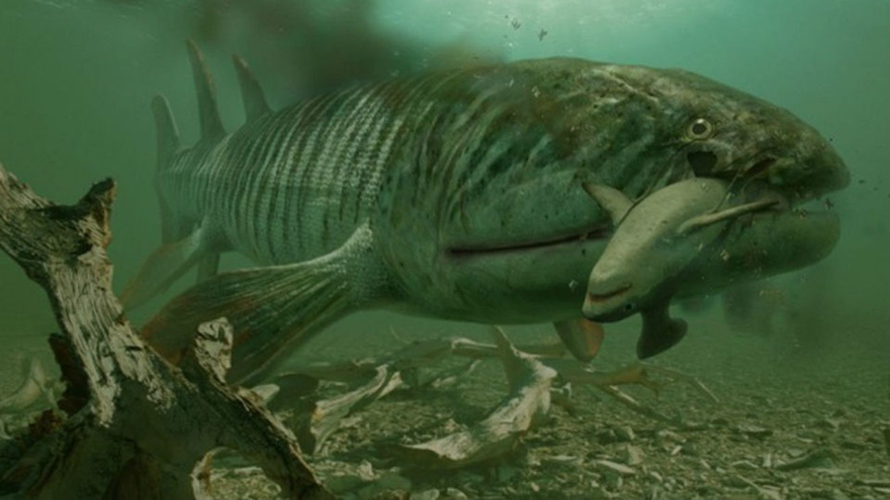 Científicos logran reconstruir a un temible  predador acuático de 365 millones de años