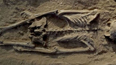 Descubren en Kenia una cueva con restos prehistóricos de hace 78.000 años