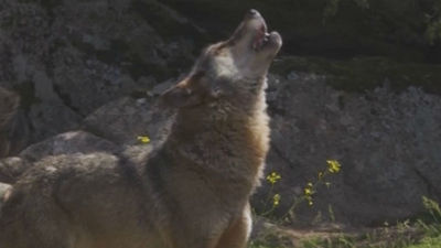 Mundo Madrid 10.05.2018