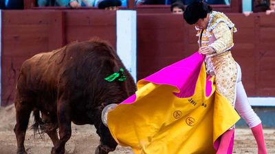 Paseo por Madrid: Las emociones de los toros