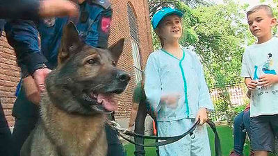 Exhibición canina en el Hospital Niño Jesús