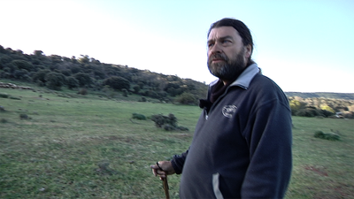 El último pastor de Madarcos