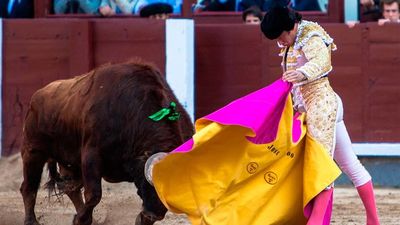 3ª de la Feria de San Isidro 2018: La espada dejó a Román sin trofeo