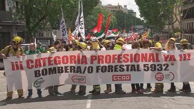 Los bomberos forestales se manifiestan para conseguir la regulación de su profesión