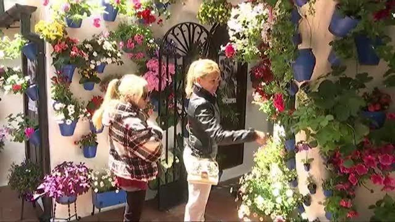 Los patios de Córdoba se tiñen de primavera