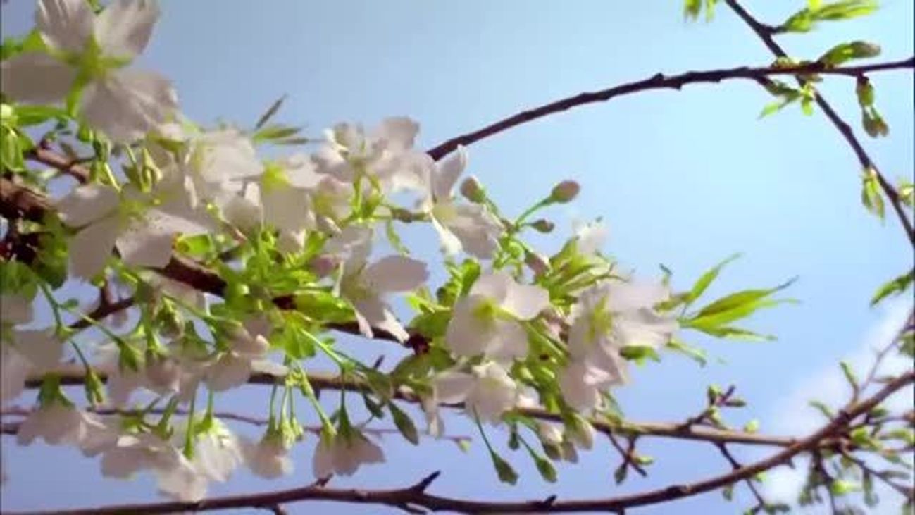 Celebramos el día mundial de la luz