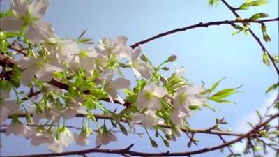 Celebramos el día mundial de la luz