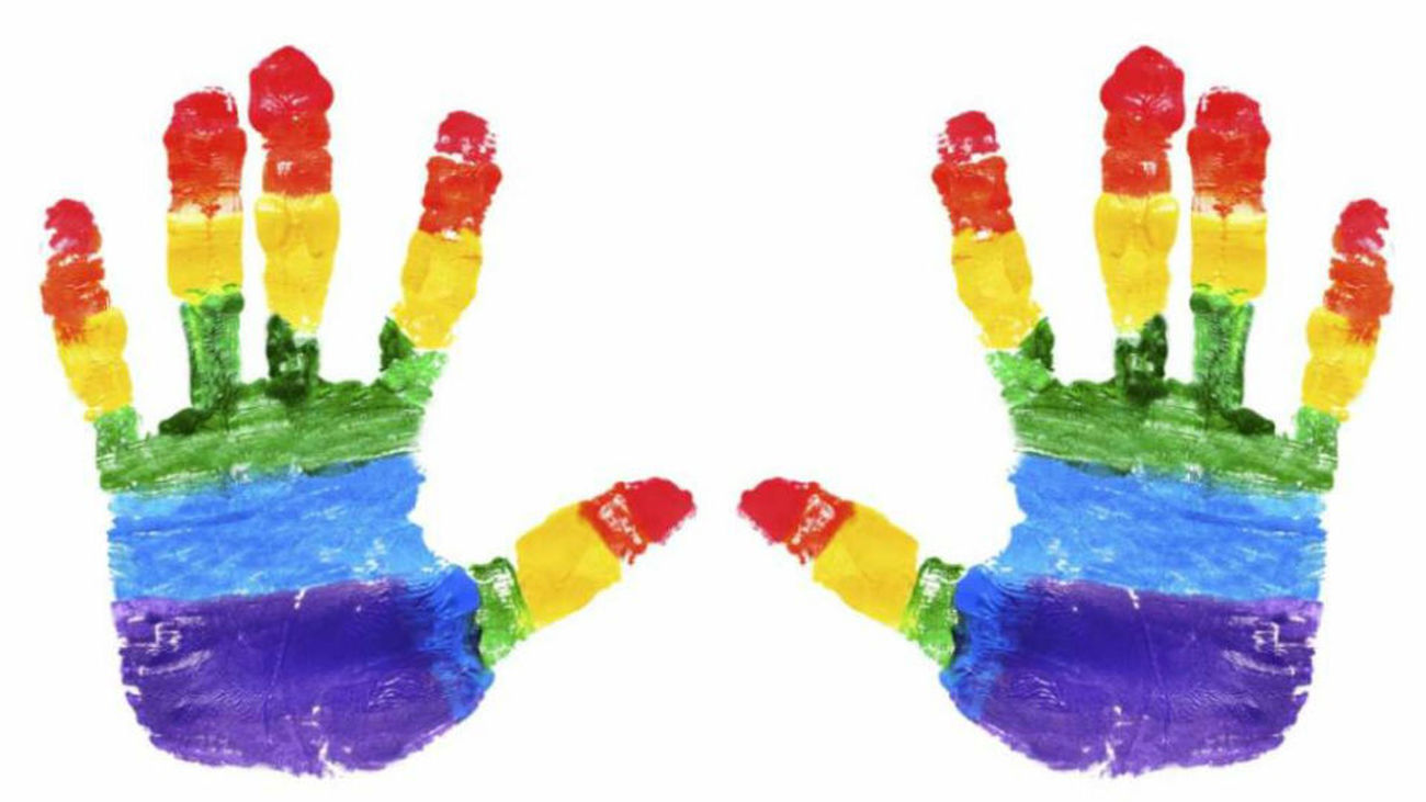 El movimiento LGTBI de Madrid ha convocado este jueves por la noche, a las 21 horas, una marcha en la que llaman a ir vestidos de negro como forma de visibilizar las situaciones de discriminación a las que aún se encuentra sometido el colectivo.