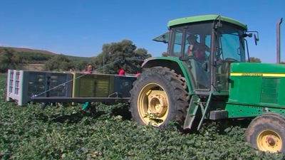 El petróleo y los impuestos ahogan al campo