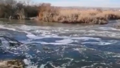 Ecologistas denuncian la mala depuración de las aguas del río Jarama