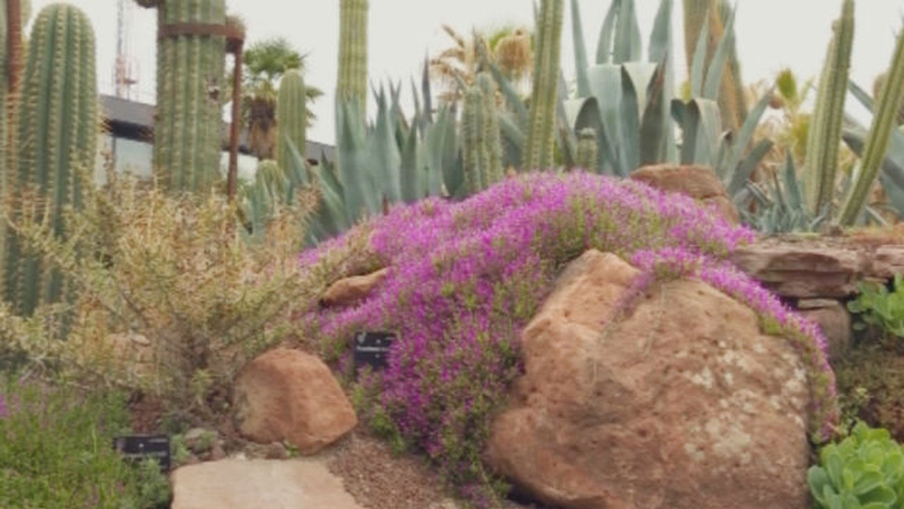 Mundo Madrid 22.05.2018