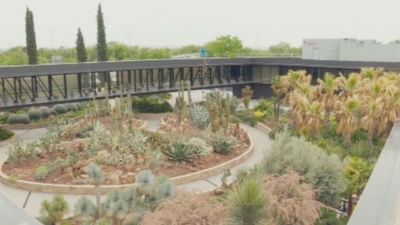 El desierto de Madrid