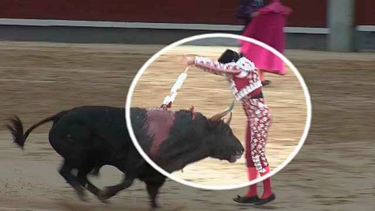 15ª de la Feria de San Isidro 2018: Los mejores, los de plata